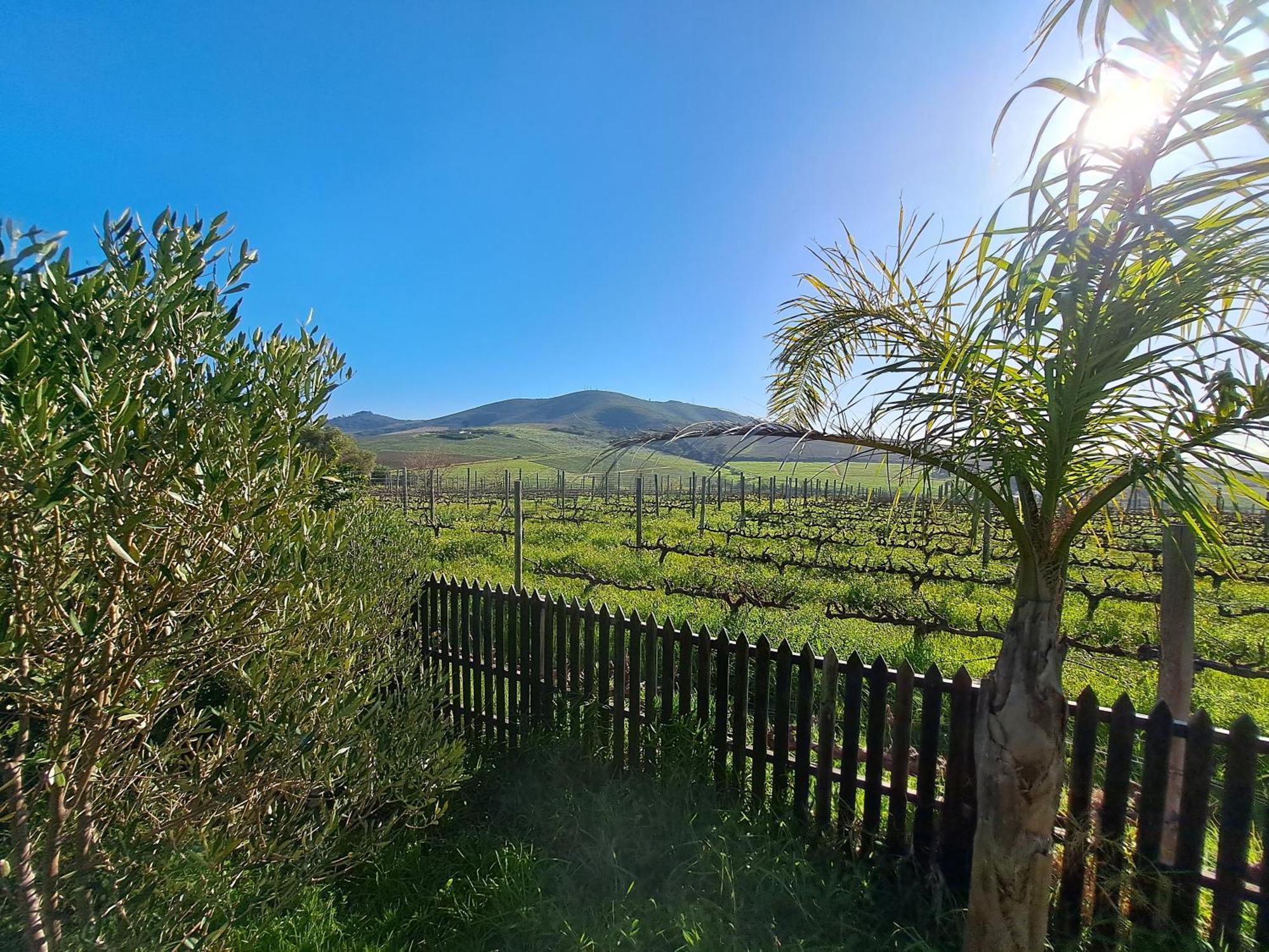 Domaine Coutelier Apartamento Stellenbosch Quarto foto